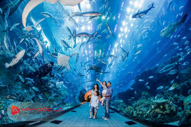 Thủy cung S.E.A. Aquarium - các điểm du lịch Singapore