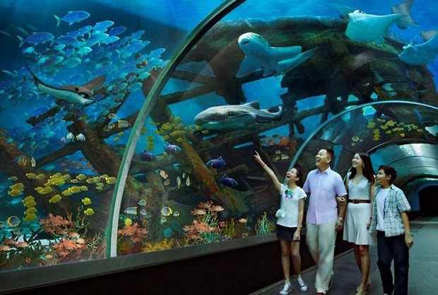 địa điểm du lịch Singapore - Thủy cung S.E.A. Aquarium