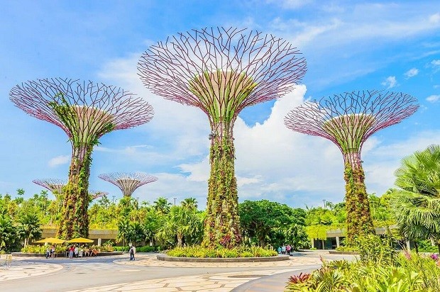 địa điểm du lịch Singapore - Gardens by the Bay