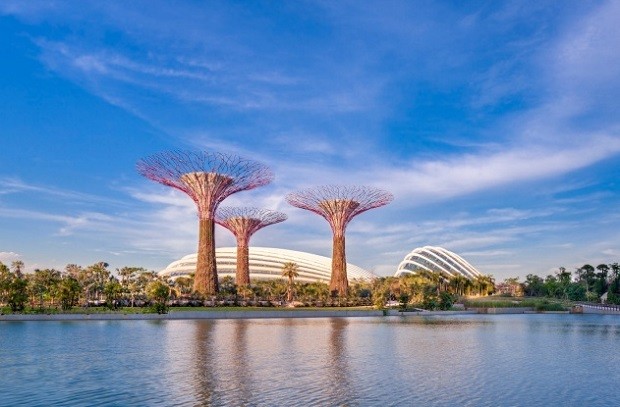 du lịch Singapore - công viên Garden by the Bay 