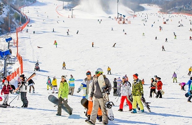 du lịch Hàn Quốc mùa nào đẹp nhất - Khu trượt tuyết Yangji Pine