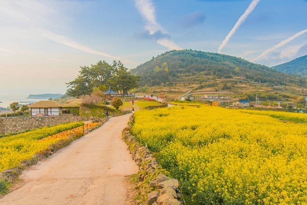 du lịch Hàn Quốc mùa nào đẹp nhất - Mùa hè