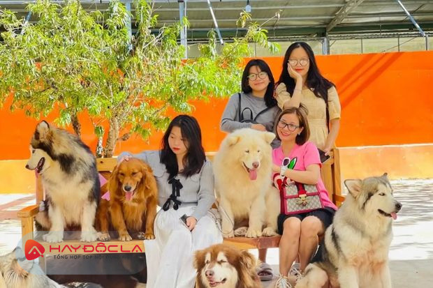 Nông trại cún Puppy Farm - địa điểm check in Đà Lạt