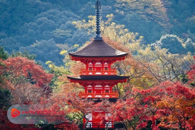 Kyoto là địa điểm du lịch Nhật Bản
