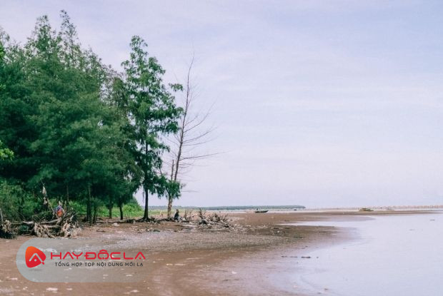 Biển Cồn Nổi địa điểm du lịch Ninh Bình