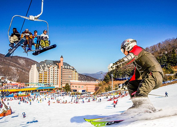 Du lịch Hàn Quốc mùa nào đẹp - Khu trượt tuyết Yangji Pine.