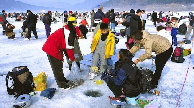 Du lịch Hàn Quốc mùa nào đẹp - Lễ hội câu cá