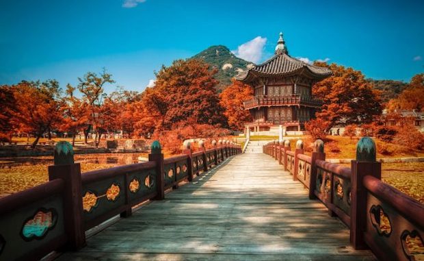 Du lịch Hàn Quốc mùa nào đẹp -  Mùa thu