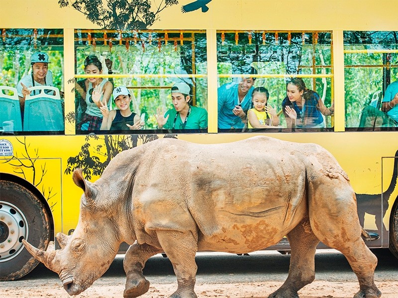 Du lịch Phú Quốc 3 ngày 2 đêm tham quan vườn thú safari