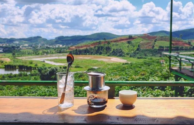 Địa điểm du lịch Đà Lạt 2022 - Mê Linh Coffee Garden và Cà Phê Chồn