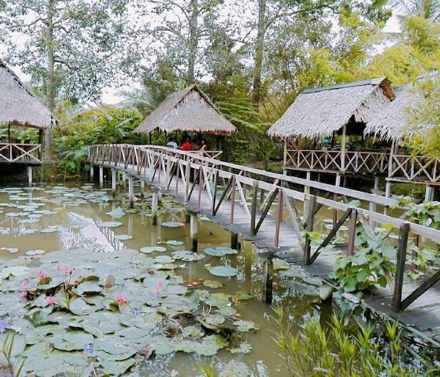 du lịch Cần Thơ 2022 - Khu du lịch sinh thái Lê Lộc  
