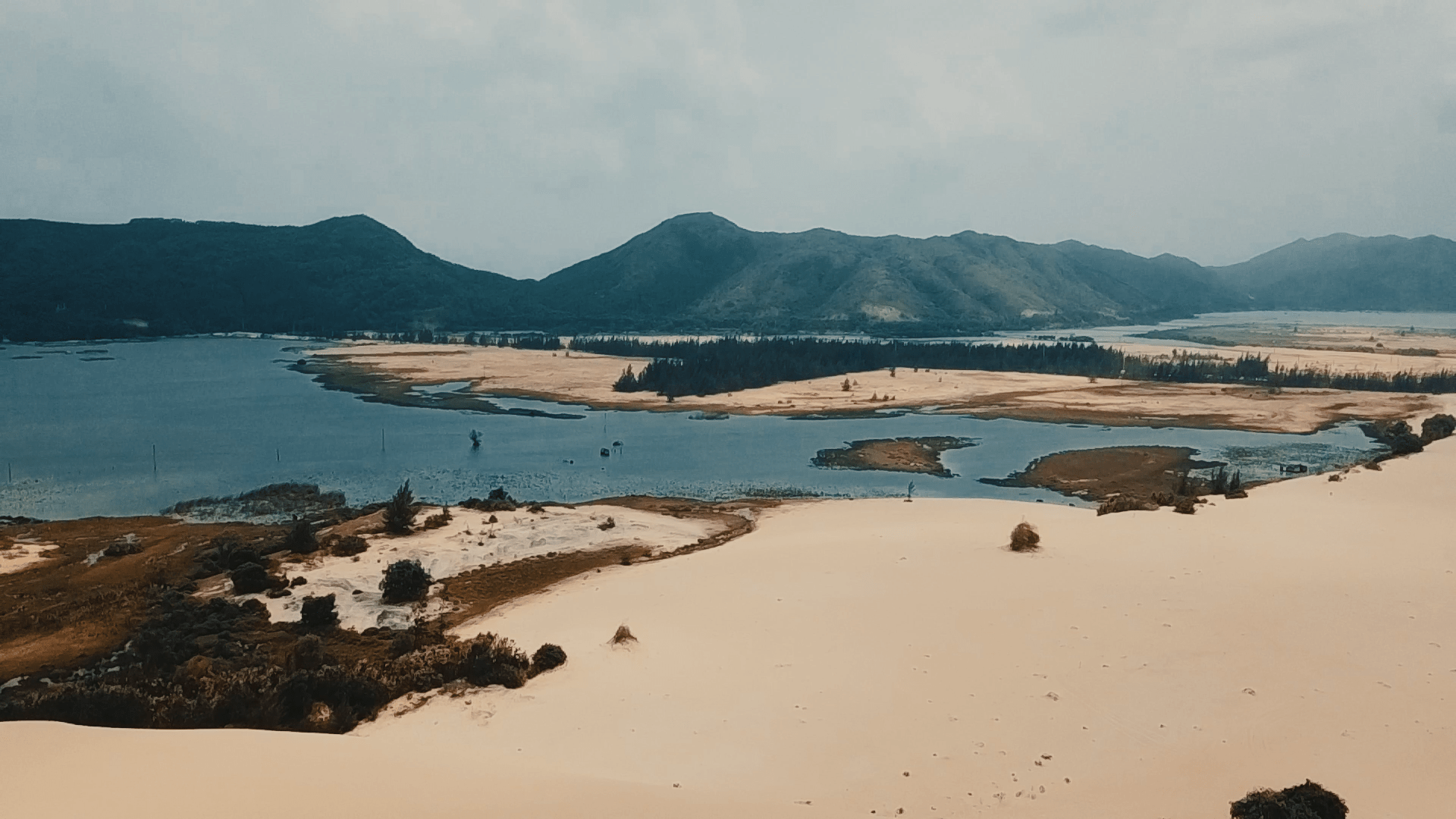 Kinh nghiệm du lịch Bình Định - Đồi cát Phương Mai