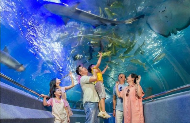 Kinh nghiệm du lịch Nha Trang 4 ngày 3 đêm - Viện Hải dương học