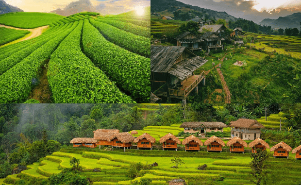 Mộc Châu Sapa Hà Giang - địa điểm du lịch lý tưởng