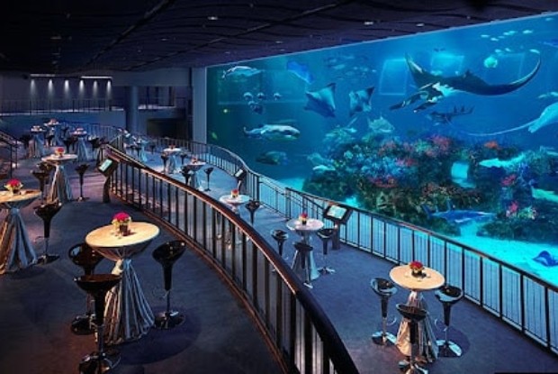 Tour Đà Nẵng Singapore - Thuỷ Cung S.E.A Aquarium Singapore
