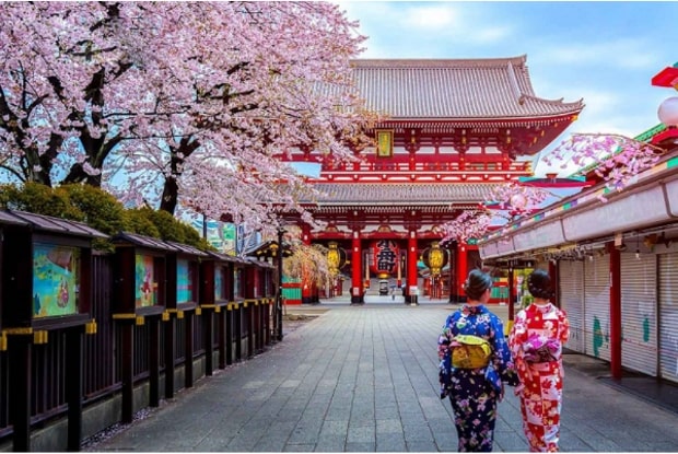 Tour Nhật - Hoa Anh Đào nở rộ mùa xuân