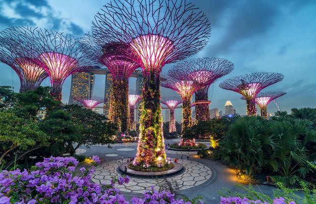 Tour Singapore Malaysia 5 ngày 4 đêm - Gardens by the Bay