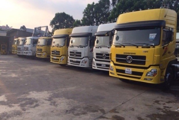 Dịch vụ vận tải container - Dương Minh