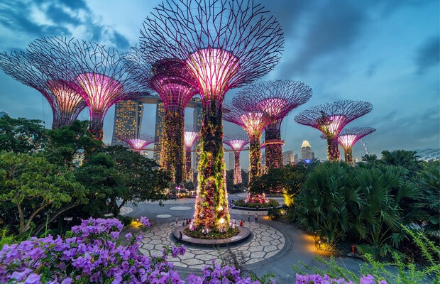 tour Singapore - Gardens By The Bay