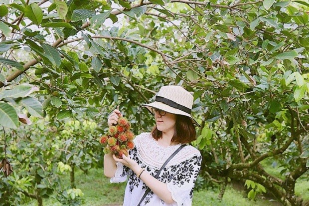 Victoria Cần Thơ - Vườn trái cây ở Cồn Sơn