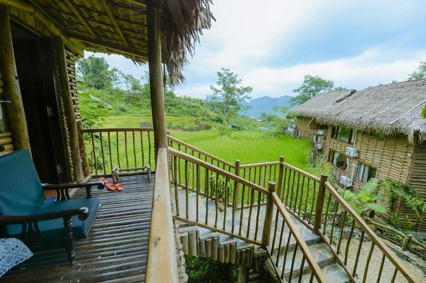Jungle Lodge Pu Luong - thiết kế