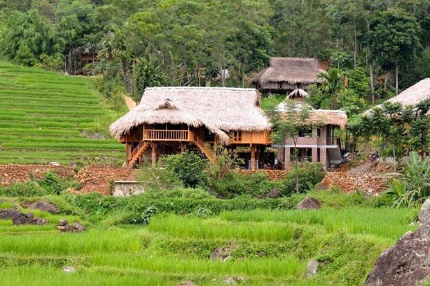 The Valley Homestay Pù Luông - thông tin chung