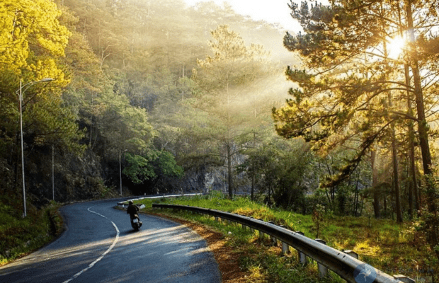 Khu du lịch thác Datanla - Con đường đầy nắng đến thác Datanla