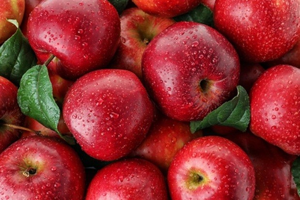 táo là trái cây bổ dưỡng chứa sắt tốt cho bà bầu