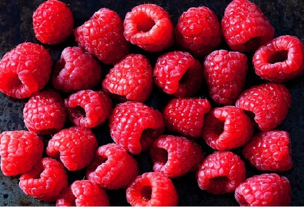 berry có nhiều chất sắc không
