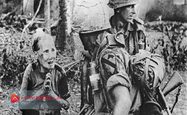 Bộ phim kinh điển về chiến tranh Việt Nam - Ảnh bìa