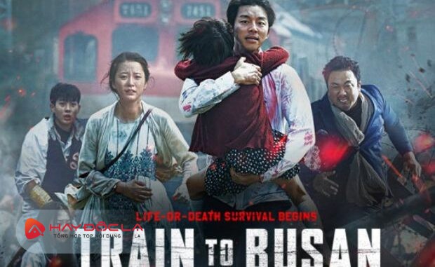 Bộ phim xác sống hay nhất mọi thời đại bạn không thể bỏ qua - Phim Train To Busan