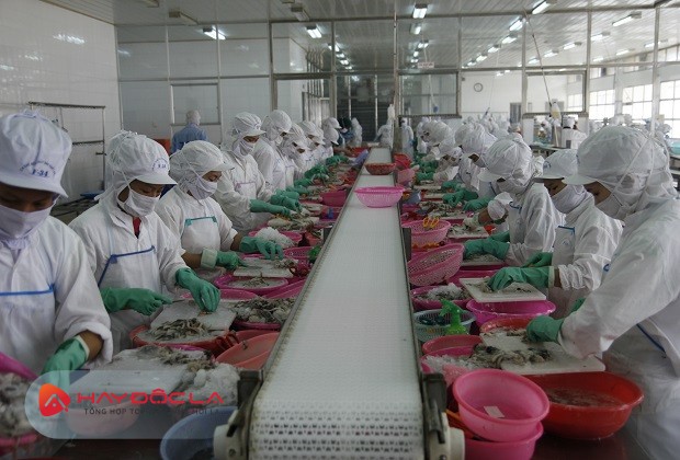 công ty chế biến thủy sản xuất khẩu lớn nhất Việt Nam Minh Quý