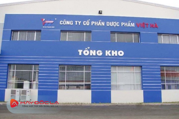 công ty dược tphcm tốt nhất - Công ty Được phẩm Việt Hà