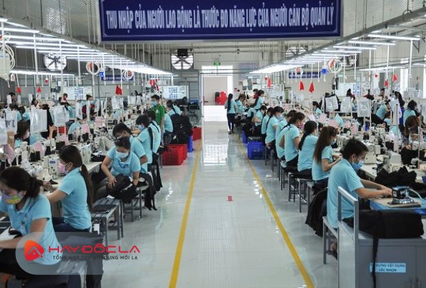 công ty may mặc xuất khẩu tại TPHCM - Công ty Cổ phần Dệt May Phong Phú