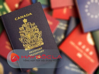 công ty tư vấn định cư Canada uy tín TPHCM - định cư Canada dễ dàng
