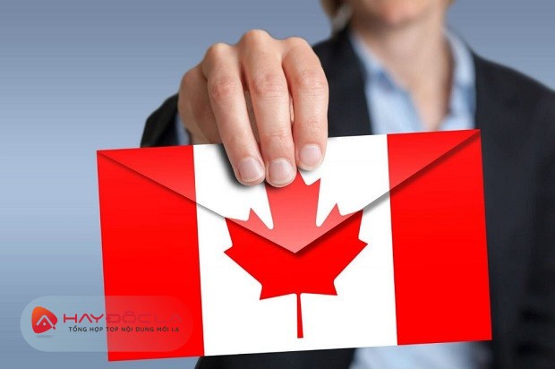 Bạn muốn định cư Canada? hãy đến IMM Group