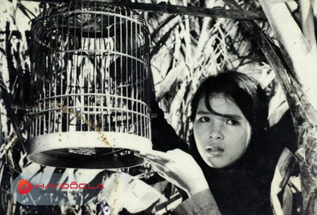 phim truyền hình Việt Nam đời đầu - Con Chim Vành Khuyên 