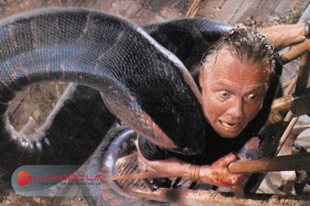 Bộ phim về loài rắn hay nhất - Trăn khổng lồ Anaconda