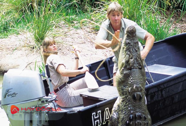 bộ phim về cá sấu đáng sợ nhất - Thợ Săn Cá Sấu