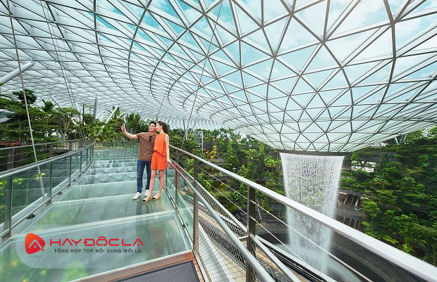 check-in khu rừng nhiệt đới tại sân bay Changi