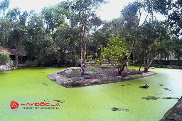 quận 12 có gì vui - Làng cá sấu Sài Gòn